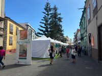 Feria de Artesan&iacute;a La Laguna_