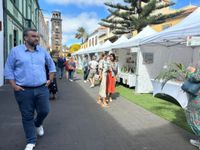 Feria de Artesan&iacute;a La Laguna_3