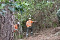 20240621_Presentacion_plan_medianias_prevencion_incendios_Rosa-17